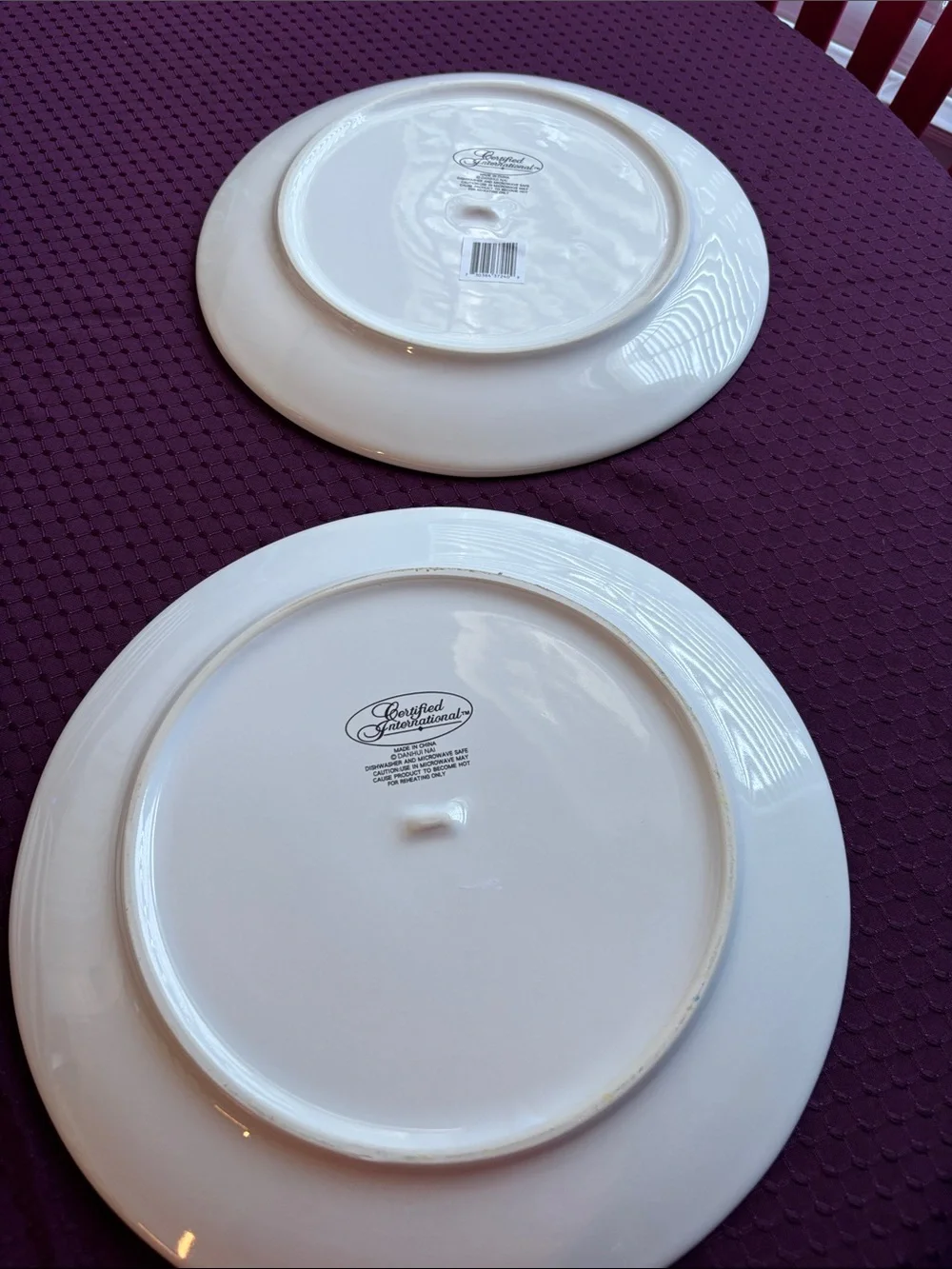 Set of 2 New “Autumn Harvest” dinner plates